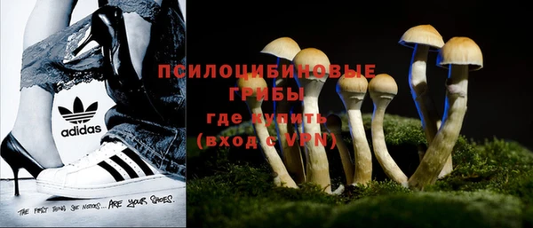 молекула духа Ступино