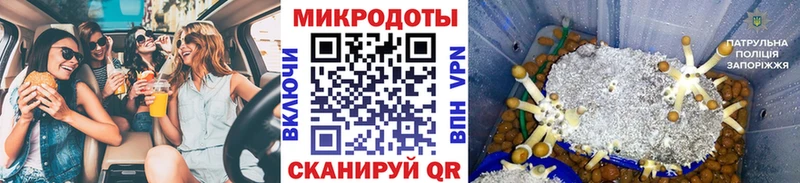 Галлюциногенные грибы MAGIC MUSHROOMS  Козельск 